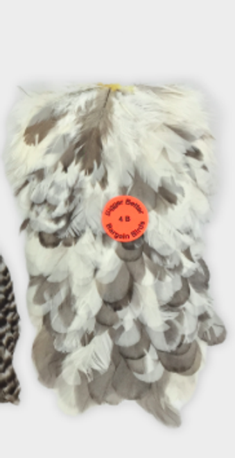 Whiting 4B Hen Saddle