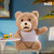 Ted 2 Teddy Bear Plush Pendant Series
