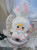 Baby Three Lily Rabbit Town Plush Blind Box Baby Three Lily Rabbit Town Plush Blind Box