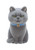 Flocked Cats in Paper Bags Figure Collection