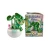 Botanical Chrome Unicorno Series