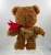 Here There Bear Mini Plush