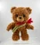 Here There Bear Mini Plush