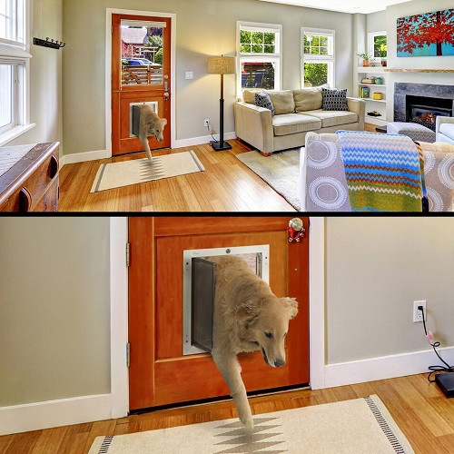 PlexiDor Performance Pet Door Dog Door PD DOOR LARGE BR BRONZE