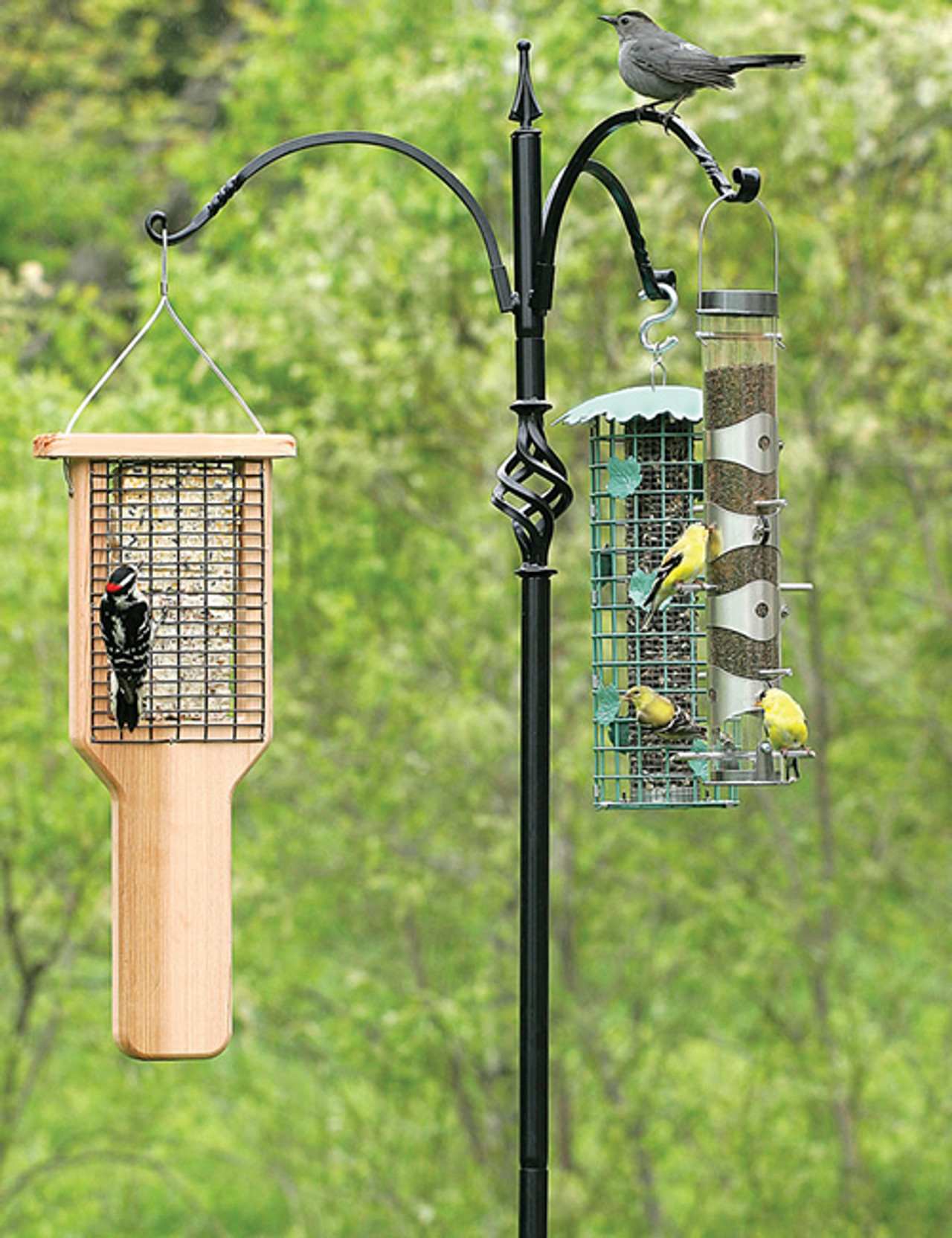 SQUIRREL STOPPER DELUX BIRD FEEDER POLE AND BAFFLE