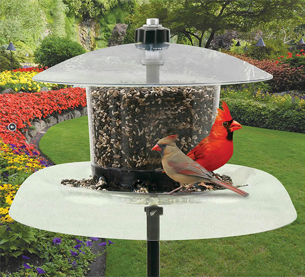 Droll Yankees Jagunda Squirrel Proof Bird Feeder With Pole Dy Jag