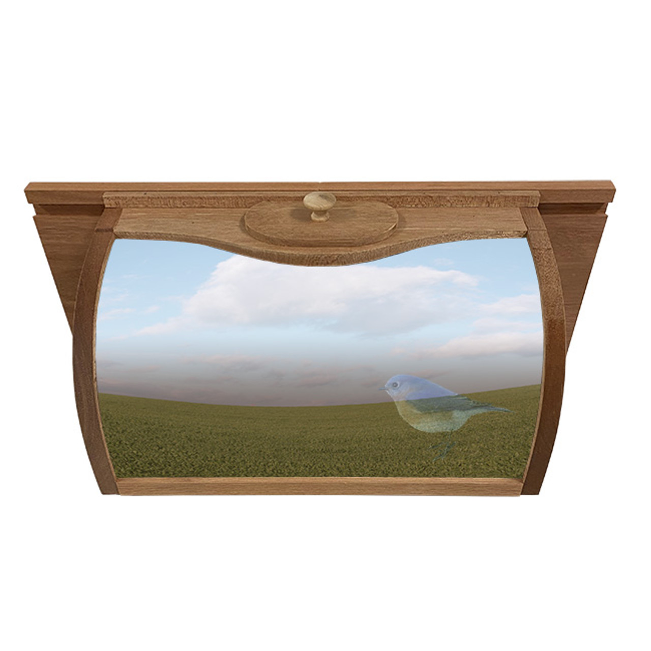 Coveside Bread Box Window Mount Bird Feeder w/ Mirror 27500