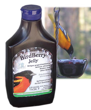 BirdBerry Jelly 2 Pack