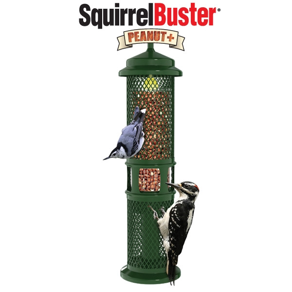 Brome Squirrel Buster Peanut Bird Feeder Squirrel Proof Bird
