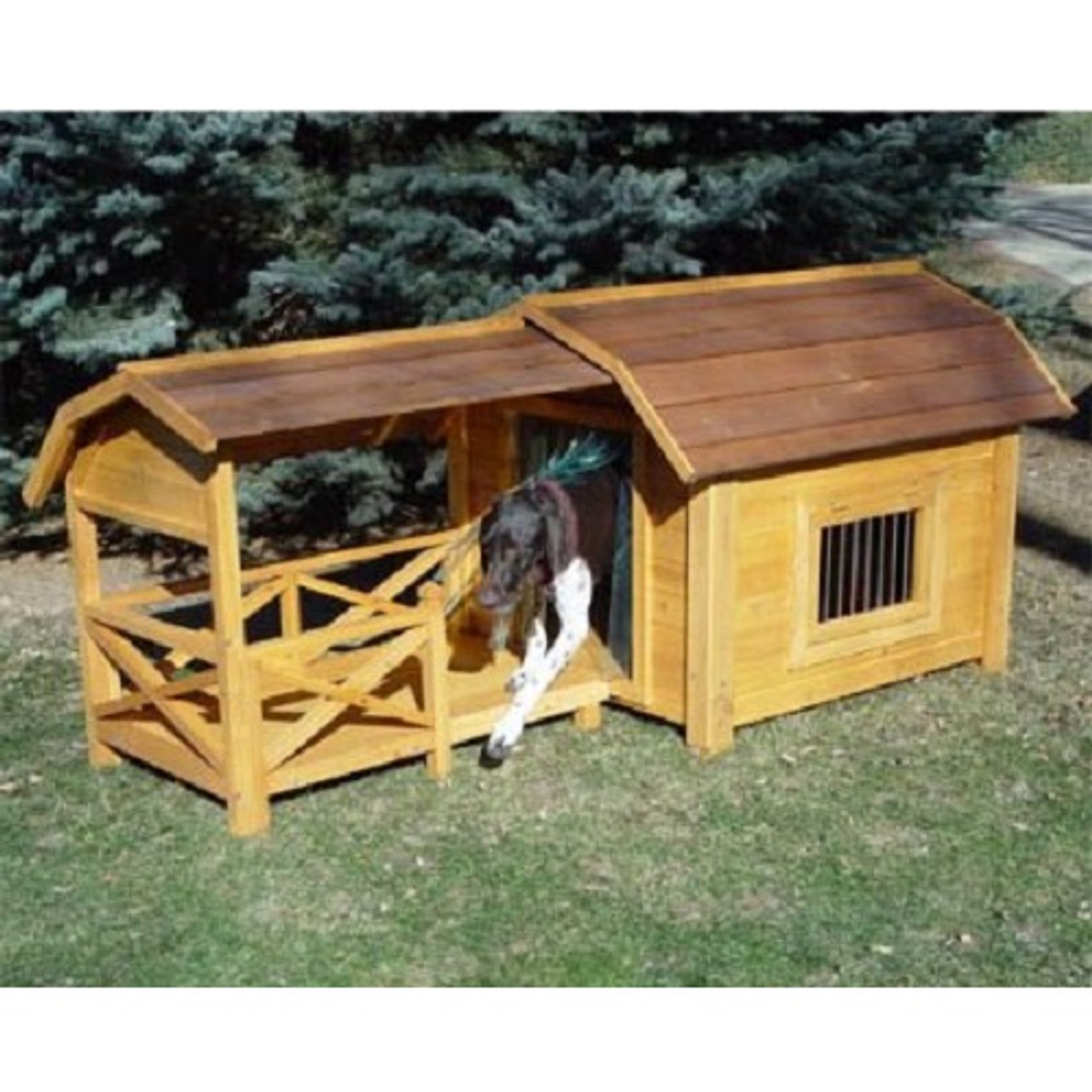 barn dog house