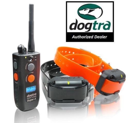 dogtra 3500ncp