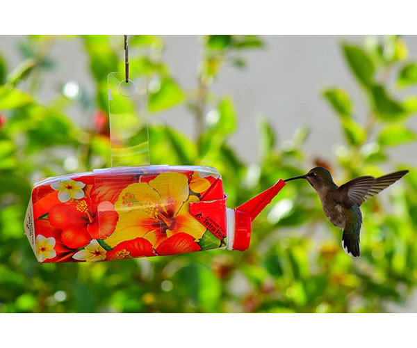 Ez Nectar All Natural Hummingbird Feeder Ready To Use 11 Oz