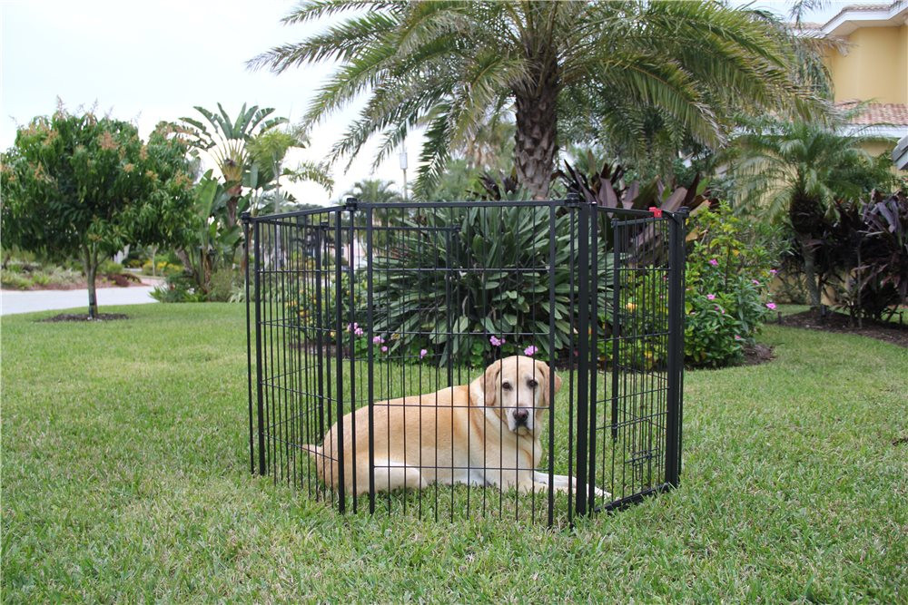 carlson pet outdoor super pet gate