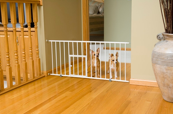 carlson mini pet gate