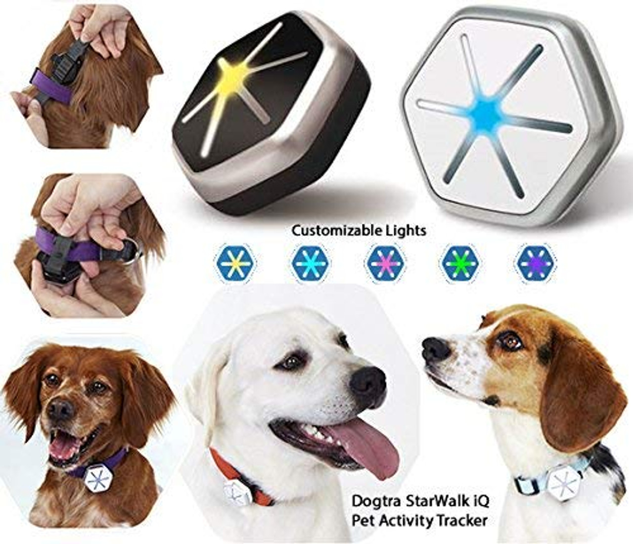 Pet step tracker Clearance