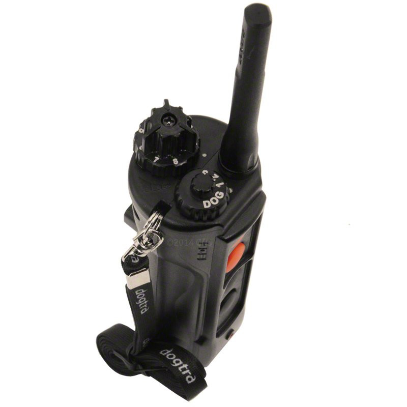 dogtra edge rt collar