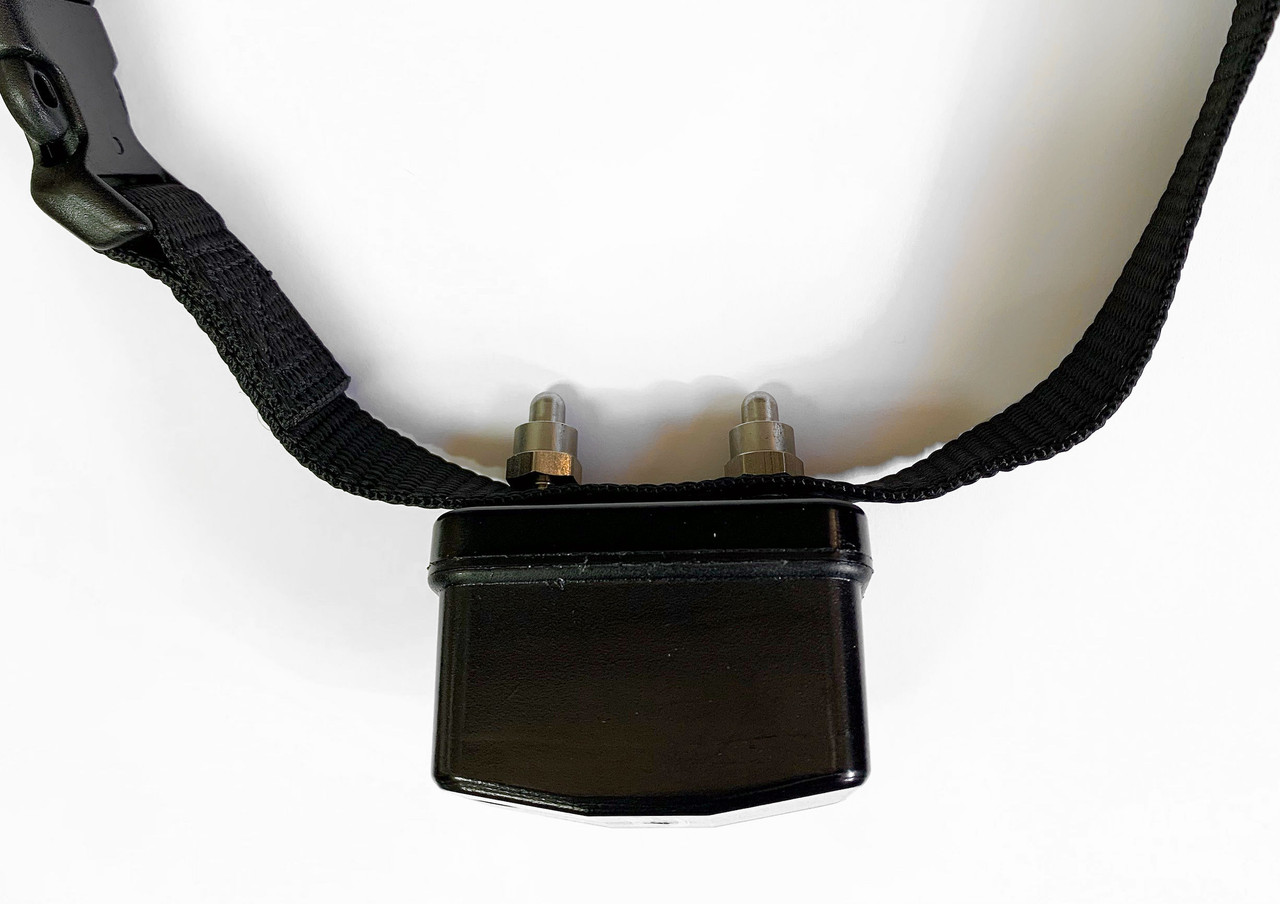 Perimeter Stubborn Dog Max Receiver Collar for PCC200 or PCC200NW