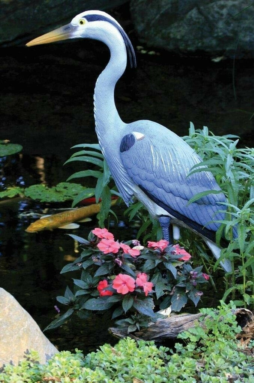 Aquascape 81030 Blue Heron Bird Decoy for Pond for sale online 
