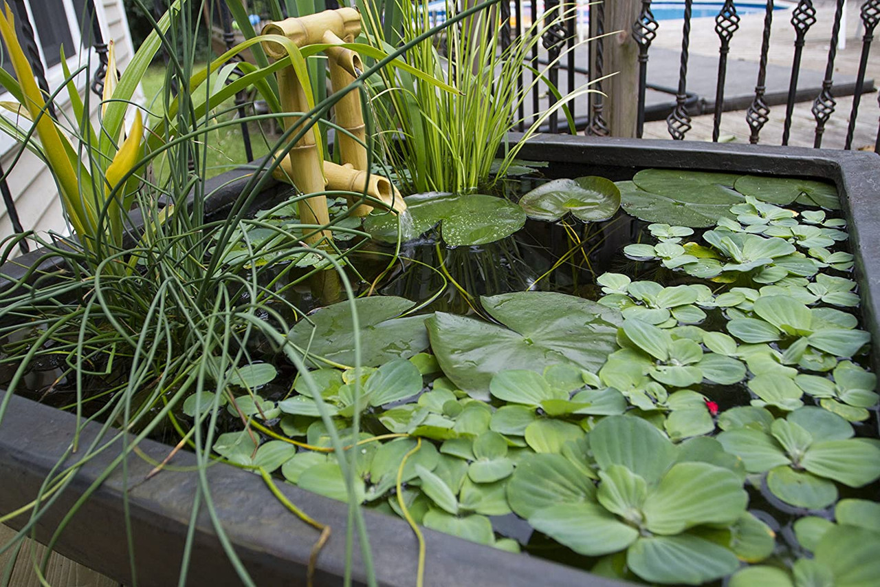 Aquascape Aquatic Patio Pond, Container Water Garden, 27Inch Square, Gray Slate 78050