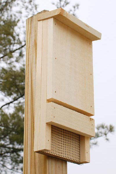Coveside Bat House Kit Holds 12 Bats