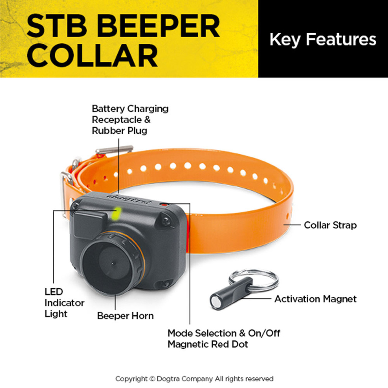 Beeper dogtra stb Clearance