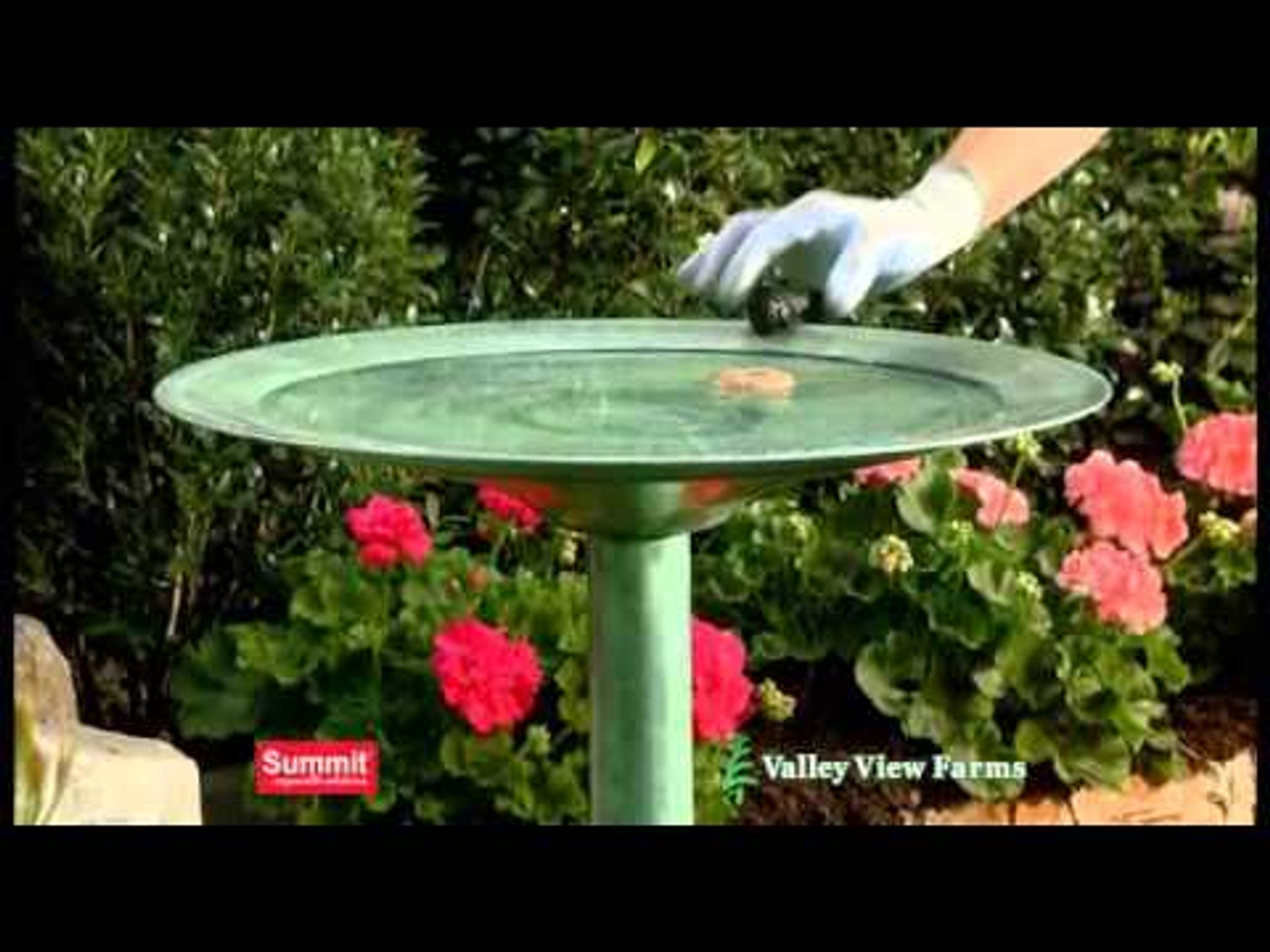 Mosquito Dunks, Summit, Mosquito Control