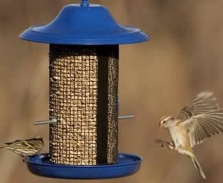 Stokes Select Cobalt Twin Chamber Bird Feeder