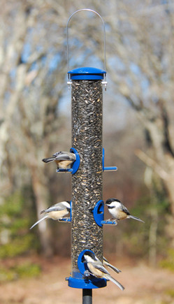 Aspects Quick Clean Blue Medium 409