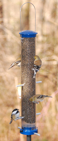 Aspects Quick Clean Blue Medium 412