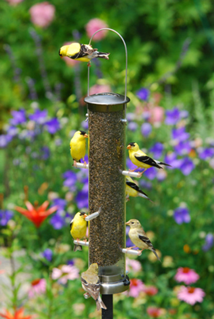 Aspects Quick Clean Brushed Nickel Medium Bird Feeder ASPECTS400