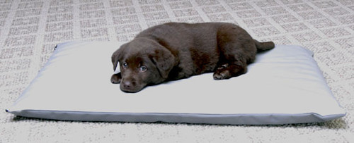 K&H Manufacturing Orthopedic Bed Classic Large Mocha / Tan 40x50 KH4521