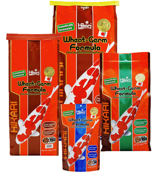 Hikari Wheat Germ 11 lb. Medium Pellet Koi Fish Food