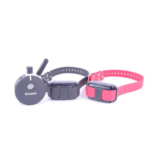 E-Collar Technologies Einstein Medium/Large 2 Dog Remote Education Collar with Night Tracking Light - ET-802