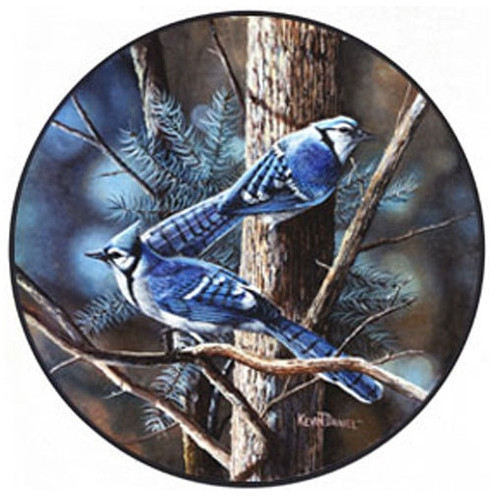 Glassmasters Blue Jays