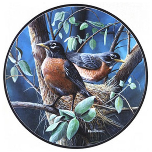 Glassmasters Robins