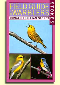 Stokes Warbler