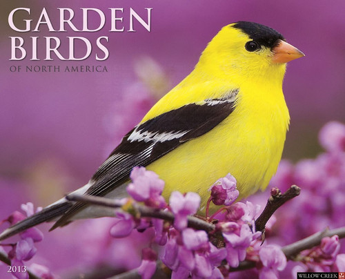 Willow Creek Press Garden Birds 2013 Calendar