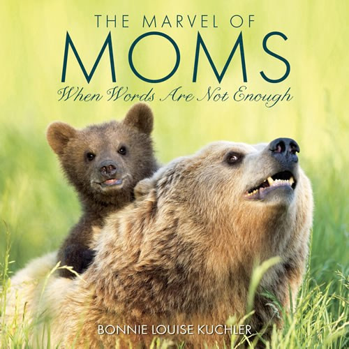 Willow Creek Press The Marvel of Moms