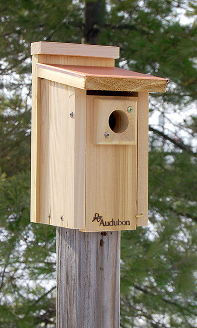 Audubon Coppertop Bluebird House (AUD-NACOPBB)