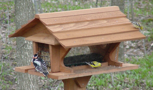 Songbird Essentials Super Feeder