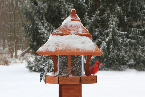 Songbird Essentials Century Bird Feeder