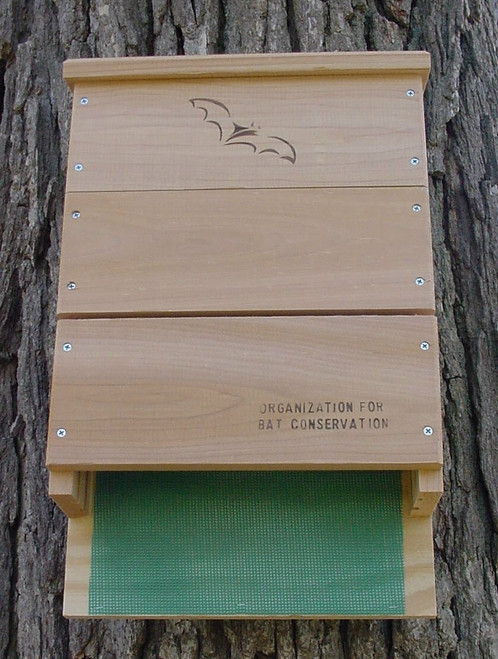 Songbird Essentials OBC Bat Triple Chamber