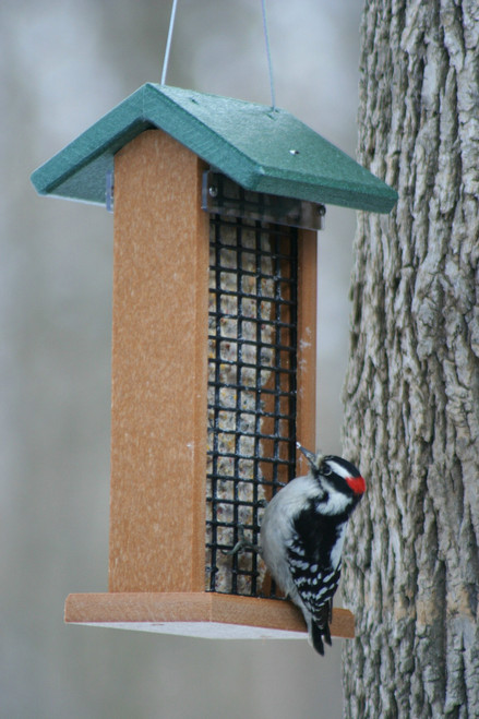 Songbird Essentials Recycled Poly 3 in 1 Feeder