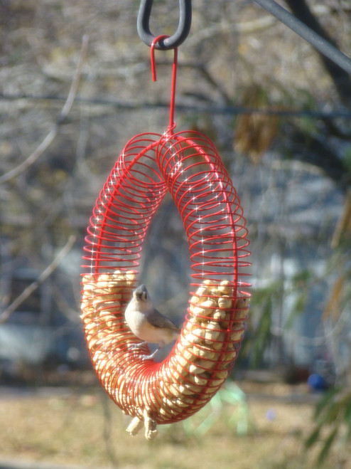 Songbird Essentials Whole Peanut Wreath Ring Red