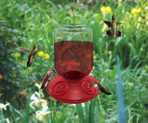 Songbird Essentials Dr. JB Switchable 48 oz Feeder with Red Flowers