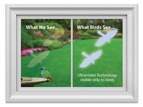 Songbird Essentials Window Hawk Transparent