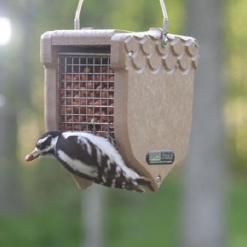 Shelled Peanut Bird Feeder in Brown Recycled Plastic ACORNB