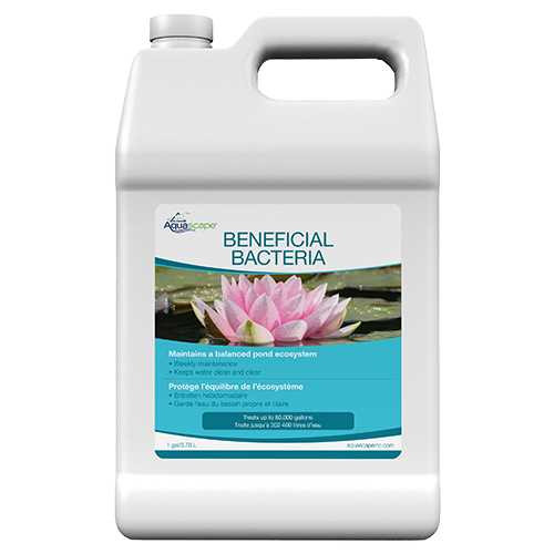 98885-Aquascape Beneficial Bacteria 1 Gallon 98885