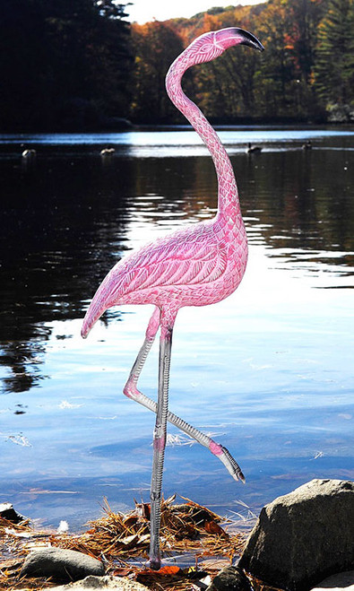 Achla American Flamingo Statue
Add a tropical feel to your water garden with the Achla American Flamingo Statue. A detailed flamingo forms this statue, with one leg raised in the familiar angle. The head is oriented upright, for a straightforward gaze, and the bright yellow eyes add a bit of personality to each item. A textured finish on the body, legs, and feet lends realism to the decoy, and a hint of black on the bill completes the look. The aluminum construction is designed to withstand use for several seasons, and the included ground anchors help the unit stay upright. Bring the look of the Caribbean to your pond or yard with this American Flamingo Statue.

Dimensions: 12.5"L x 5.25"W x 36.75"H
Mounting: place on flat surface
Construction: aluminum