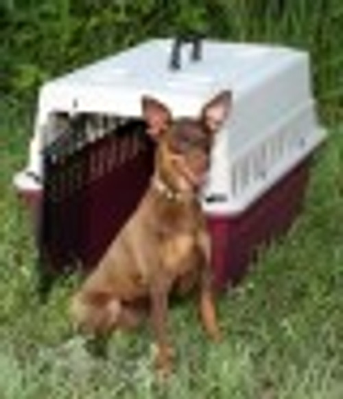 Protective Pet Carrier/Crate - Junior GA24Alm